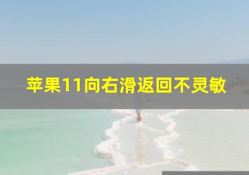 苹果11向右滑返回不灵敏