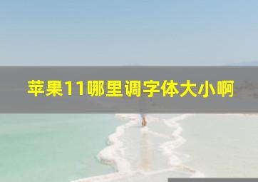 苹果11哪里调字体大小啊