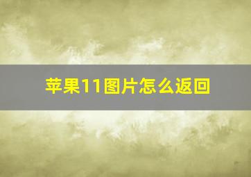 苹果11图片怎么返回