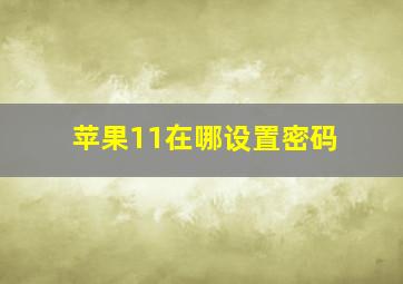 苹果11在哪设置密码