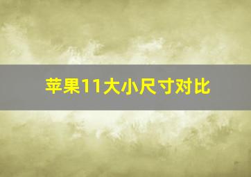 苹果11大小尺寸对比