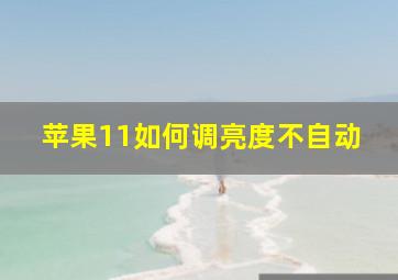 苹果11如何调亮度不自动