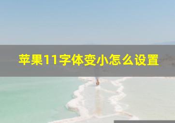 苹果11字体变小怎么设置