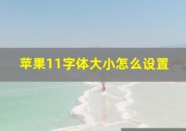 苹果11字体大小怎么设置