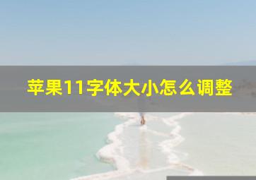 苹果11字体大小怎么调整