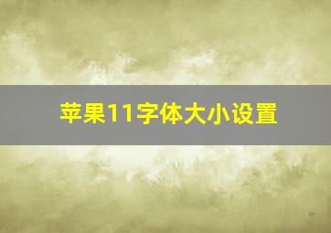 苹果11字体大小设置