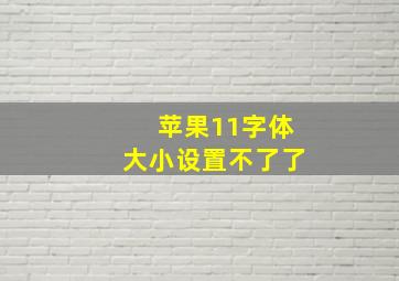 苹果11字体大小设置不了了