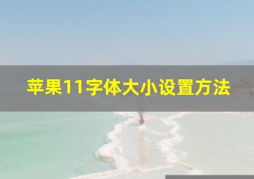 苹果11字体大小设置方法