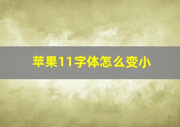 苹果11字体怎么变小