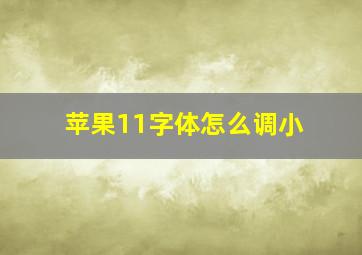 苹果11字体怎么调小