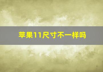 苹果11尺寸不一样吗