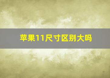 苹果11尺寸区别大吗