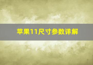 苹果11尺寸参数详解