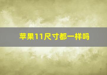 苹果11尺寸都一样吗