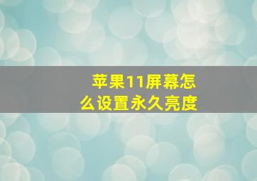 苹果11屏幕怎么设置永久亮度