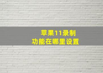 苹果11录制功能在哪里设置