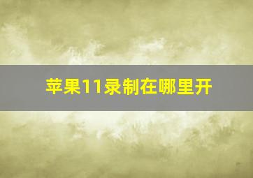 苹果11录制在哪里开