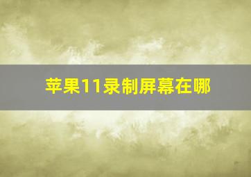 苹果11录制屏幕在哪