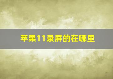 苹果11录屏的在哪里