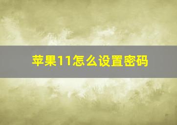 苹果11怎么设置密码