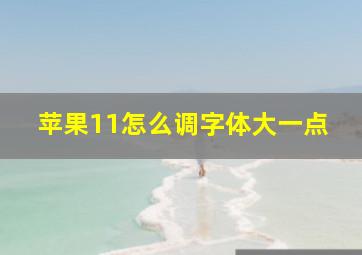 苹果11怎么调字体大一点