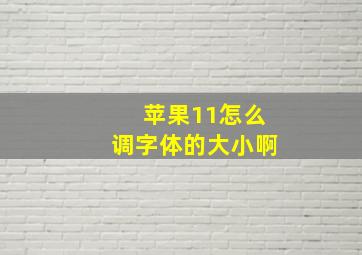 苹果11怎么调字体的大小啊