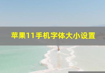 苹果11手机字体大小设置