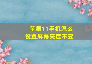 苹果11手机怎么设置屏幕亮度不变