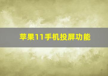 苹果11手机投屏功能