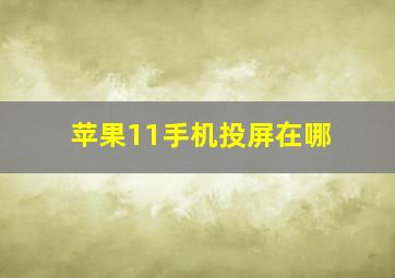 苹果11手机投屏在哪