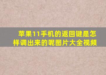 苹果11手机的返回键是怎样调出来的呢图片大全视频