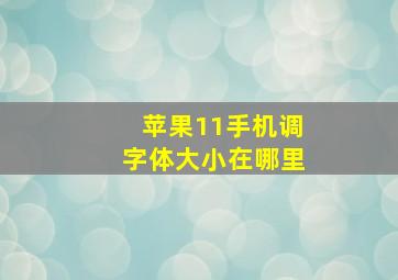 苹果11手机调字体大小在哪里