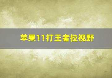 苹果11打王者拉视野