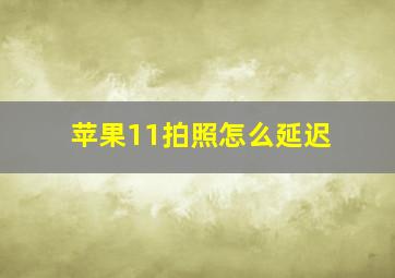 苹果11拍照怎么延迟