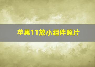 苹果11放小组件照片