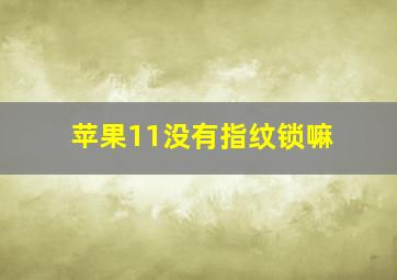 苹果11没有指纹锁嘛