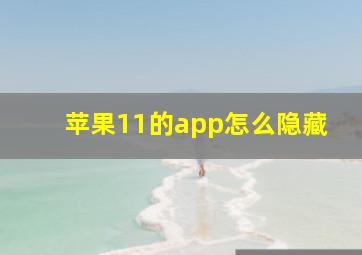 苹果11的app怎么隐藏