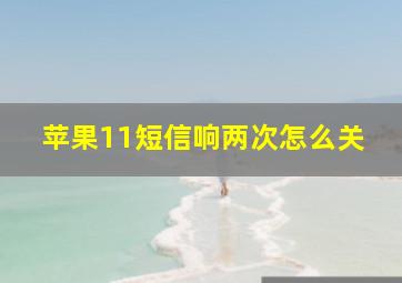 苹果11短信响两次怎么关