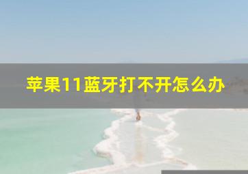 苹果11蓝牙打不开怎么办