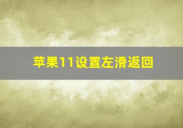 苹果11设置左滑返回