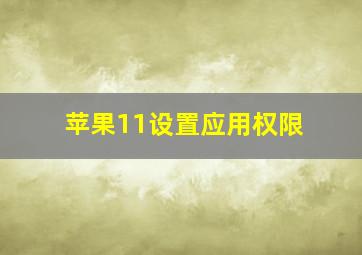 苹果11设置应用权限