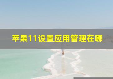 苹果11设置应用管理在哪