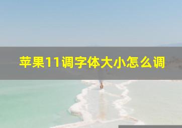 苹果11调字体大小怎么调