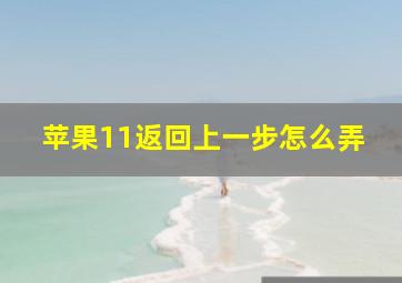 苹果11返回上一步怎么弄