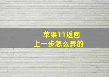 苹果11返回上一步怎么弄的