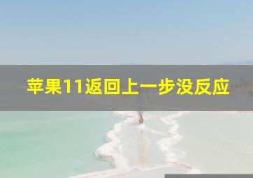 苹果11返回上一步没反应