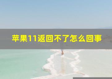 苹果11返回不了怎么回事