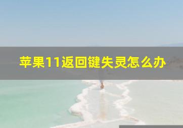 苹果11返回键失灵怎么办