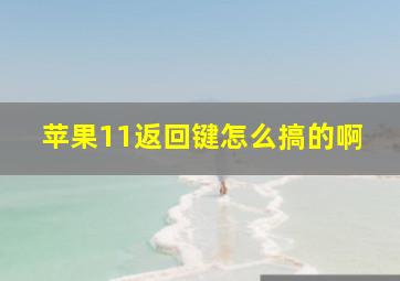 苹果11返回键怎么搞的啊