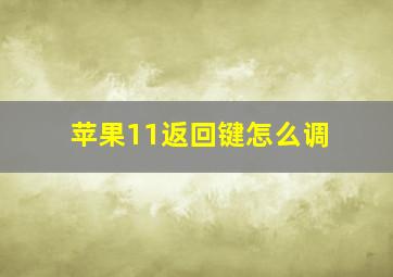 苹果11返回键怎么调